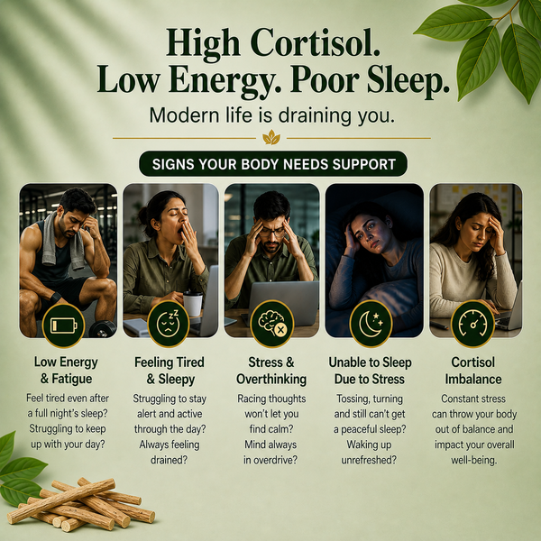 Ksm 66® ashwagandha gummies