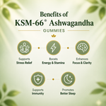 Load image into Gallery viewer, KSM-66® Ashwagandha Gummies
